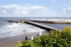 whitby pier 1 sm.jpg